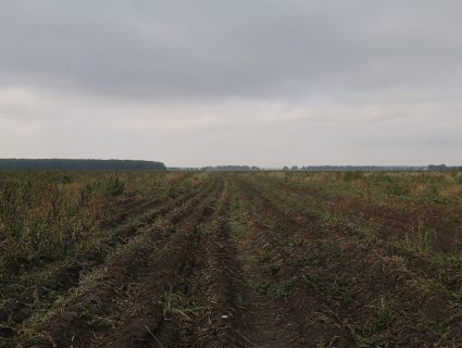 Гребнеобразователь-окучник фрезерный УМВК-1,4 / 2,8 (фото 8)